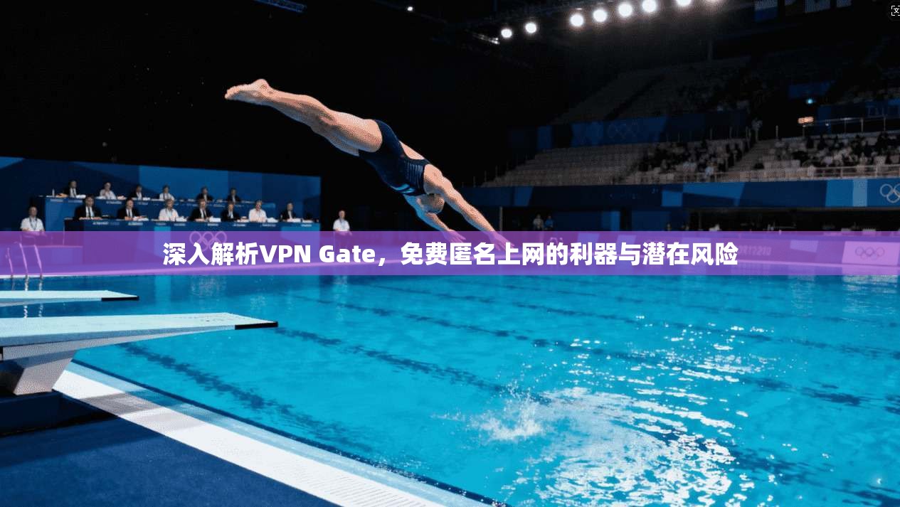 深入解析VPN Gate，免费匿名上网的利器与潜在风险