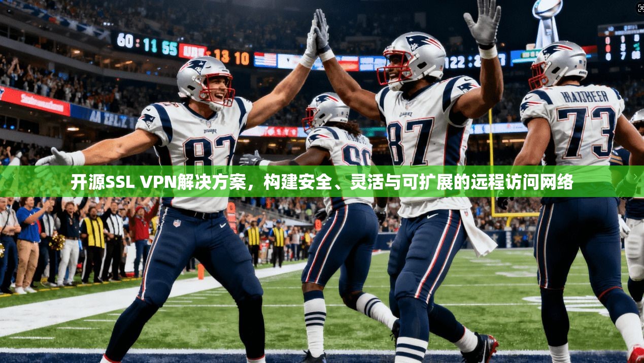 开源SSL VPN解决方案，构建安全、灵活与可扩展的远程访问网络