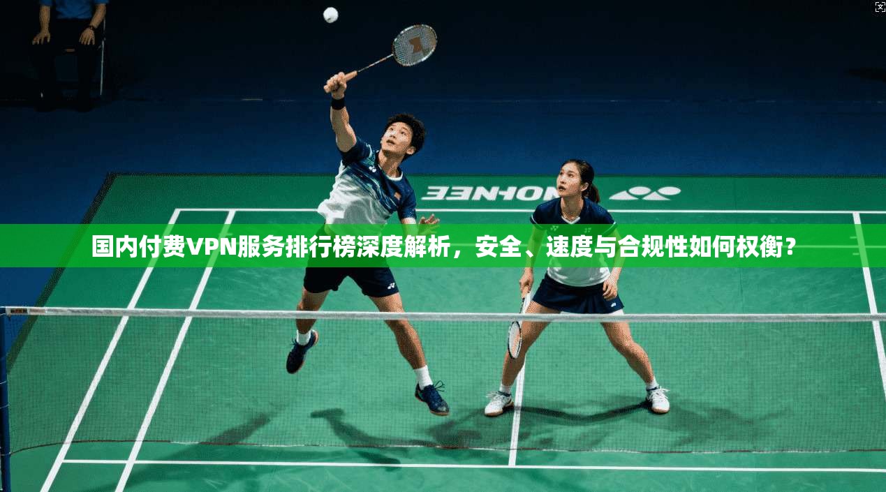 国内付费VPN服务排行榜深度解析，安全、速度与合规性如何权衡？