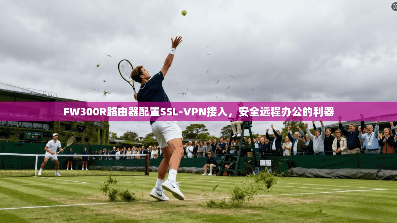 FW300R路由器配置SSL-VPN接入，安全远程办公的利器