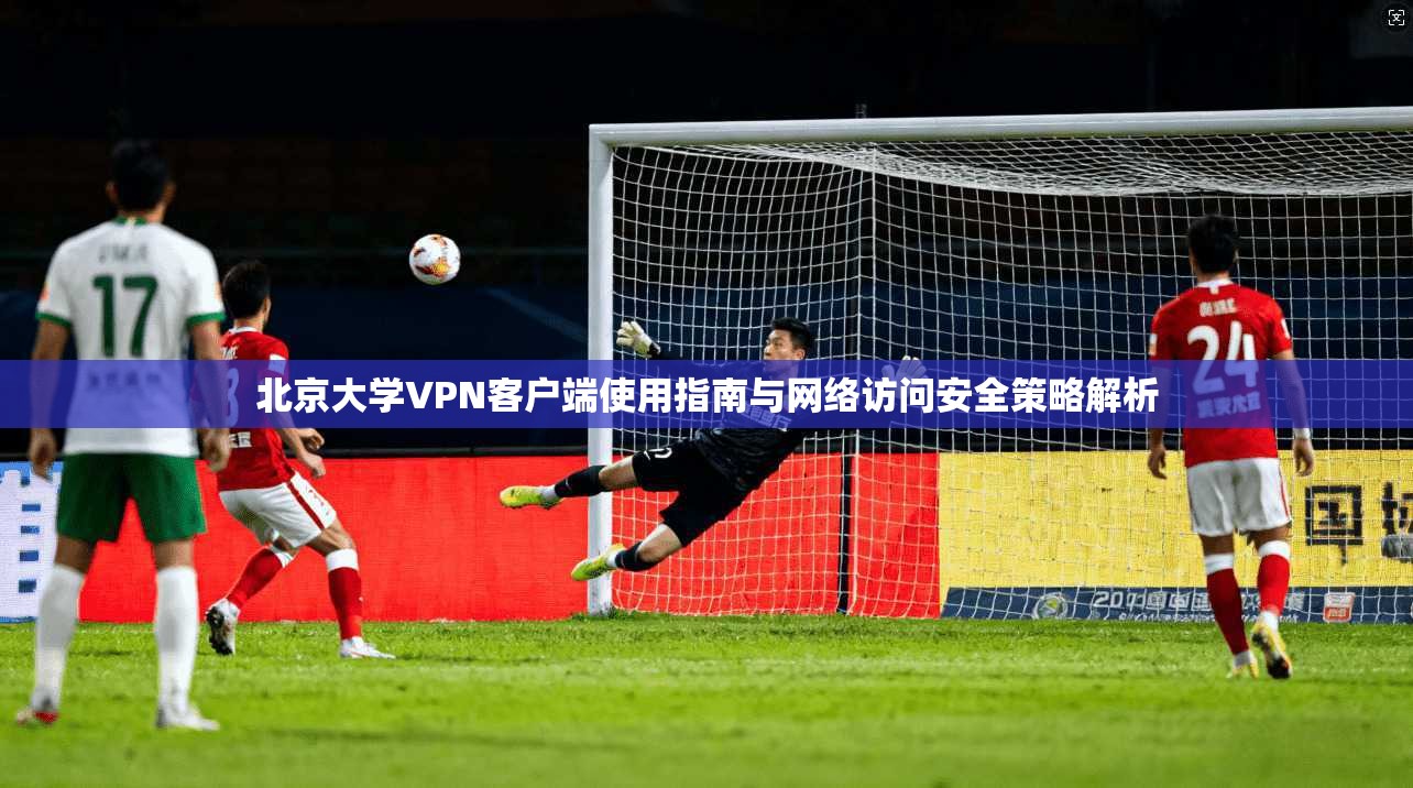 北京大学VPN客户端使用指南与网络访问安全策略解析