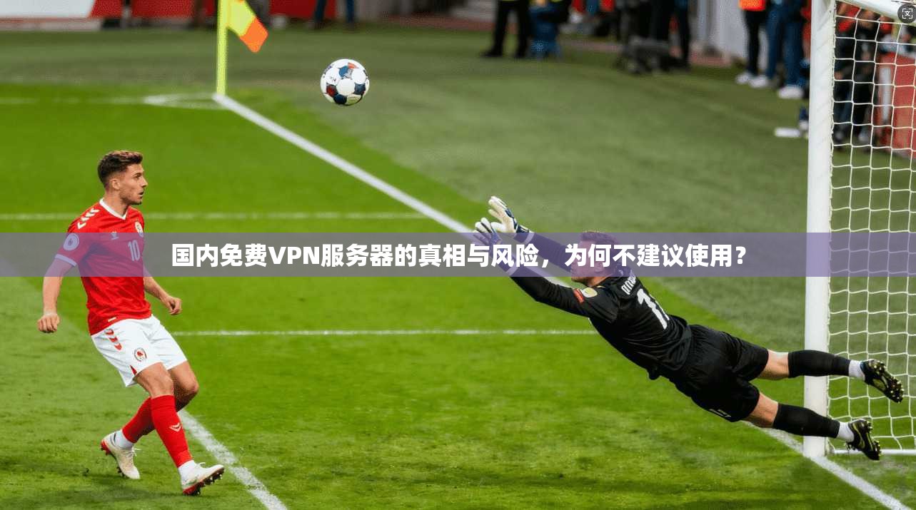 国内免费VPN服务器的真相与风险，为何不建议使用？