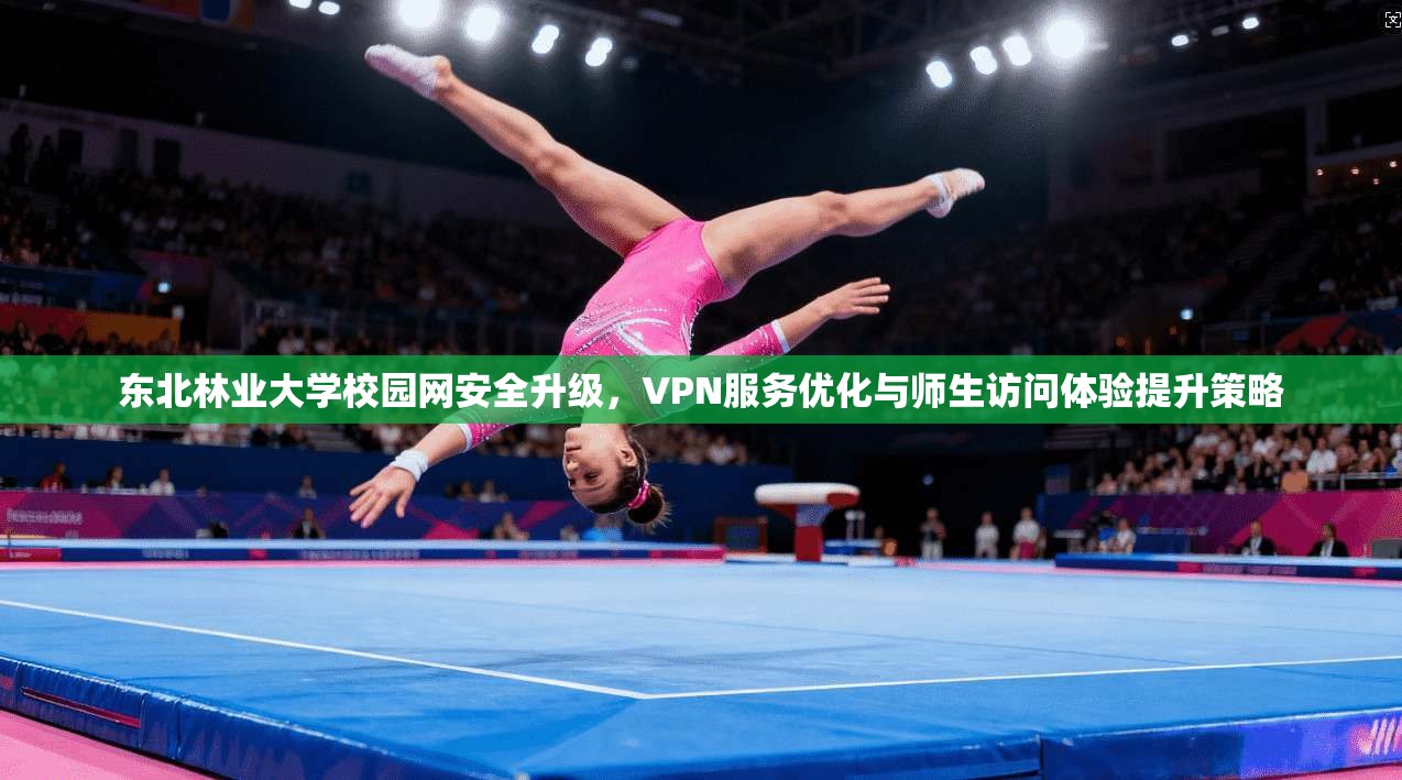 东北林业大学校园网安全升级，VPN服务优化与师生访问体验提升策略