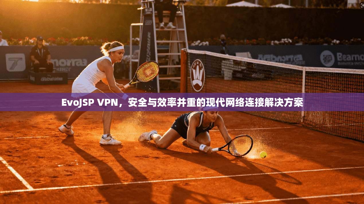EvoJSP VPN，安全与效率并重的现代网络连接解决方案