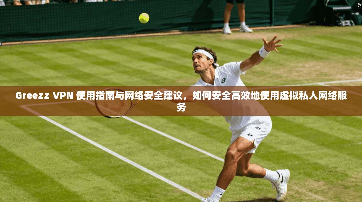 Greezz VPN 使用指南与网络安全建议，如何安全高效地使用虚拟私人网络服务