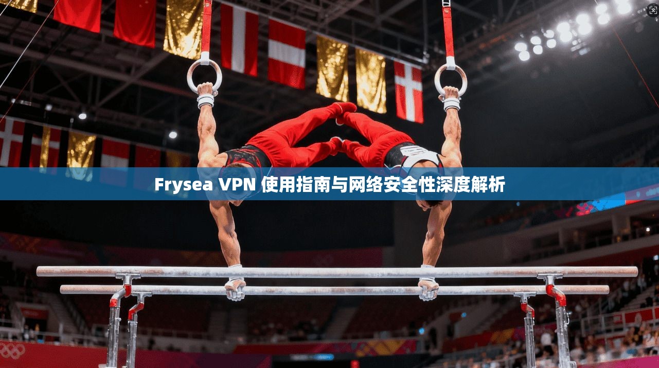 Frysea VPN 使用指南与网络安全性深度解析