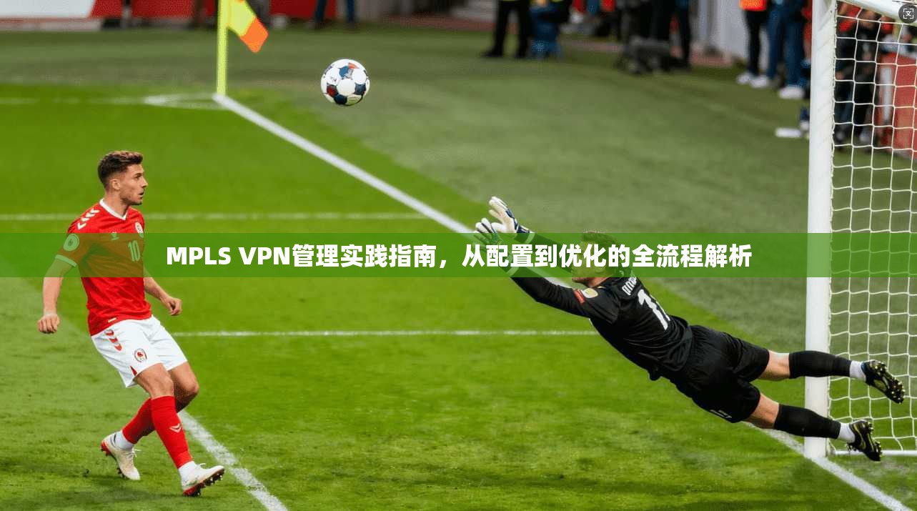 MPLS VPN管理实践指南，从配置到优化的全流程解析