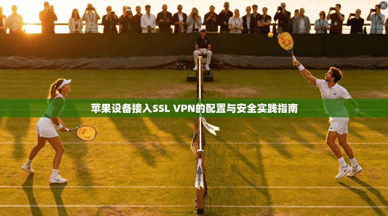 苹果设备接入SSL VPN的配置与安全实践指南