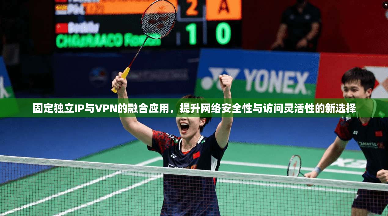 固定独立IP与VPN的融合应用，提升网络安全性与访问灵活性的新选择