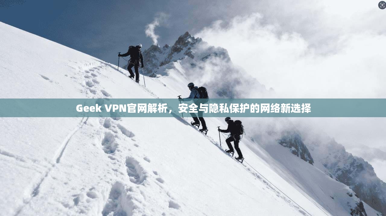 Geek VPN官网解析，安全与隐私保护的网络新选择