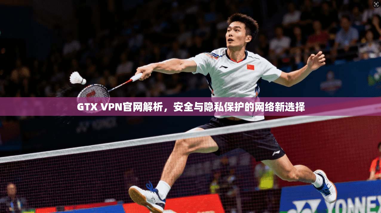 GTX VPN官网解析，安全与隐私保护的网络新选择