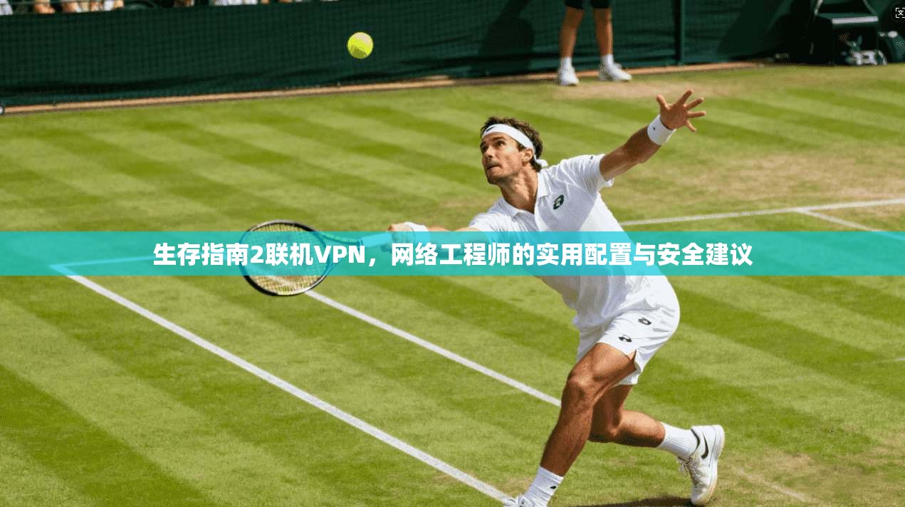 生存指南2联机VPN，网络工程师的实用配置与安全建议