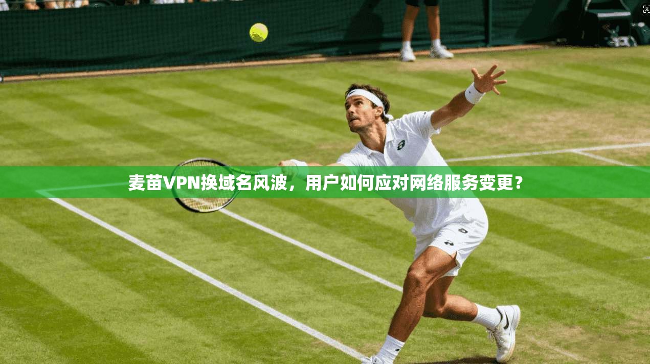麦苗VPN换域名风波，用户如何应对网络服务变更？