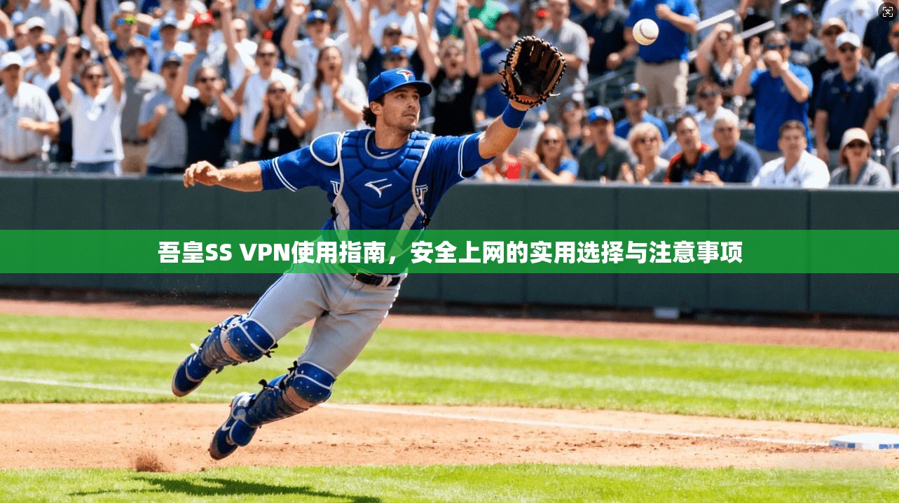 吾皇SS VPN使用指南，安全上网的实用选择与注意事项
