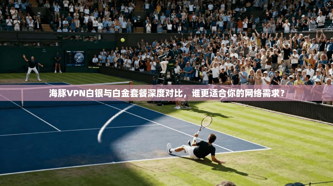 海豚VPN白银与白金套餐深度对比，谁更适合你的网络需求？