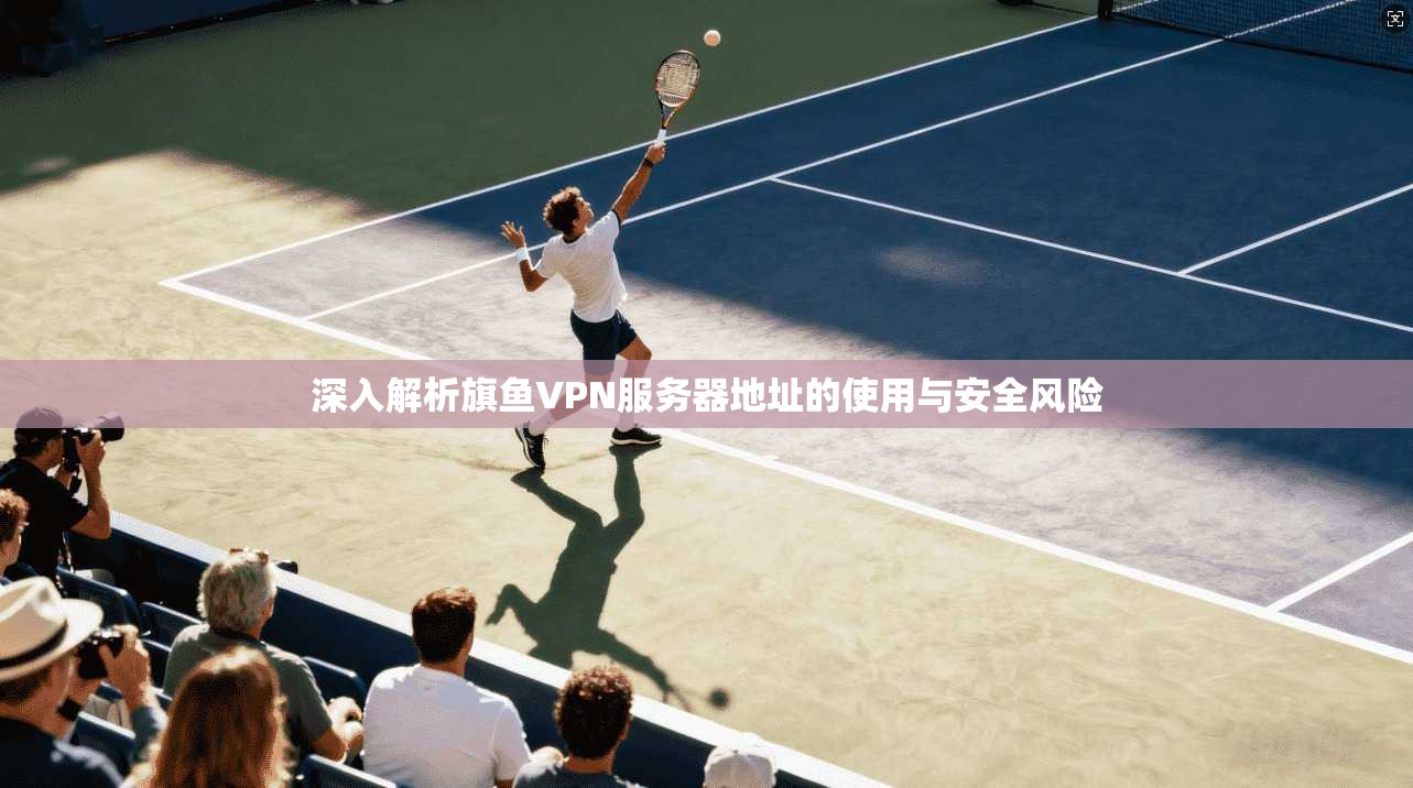 深入解析旗鱼VPN服务器地址的使用与安全风险