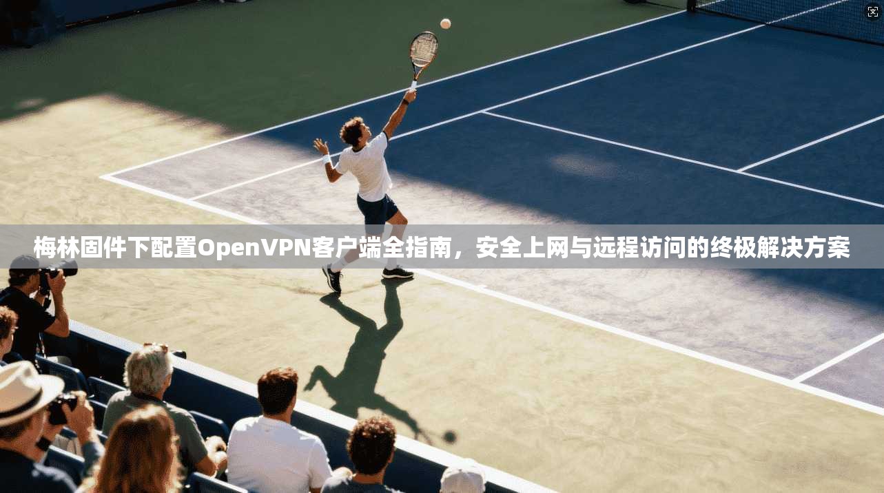梅林固件下配置OpenVPN客户端全指南，安全上网与远程访问的终极解决方案
