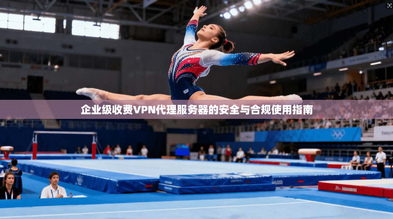 企业级收费VPN代理服务器的安全与合规使用指南