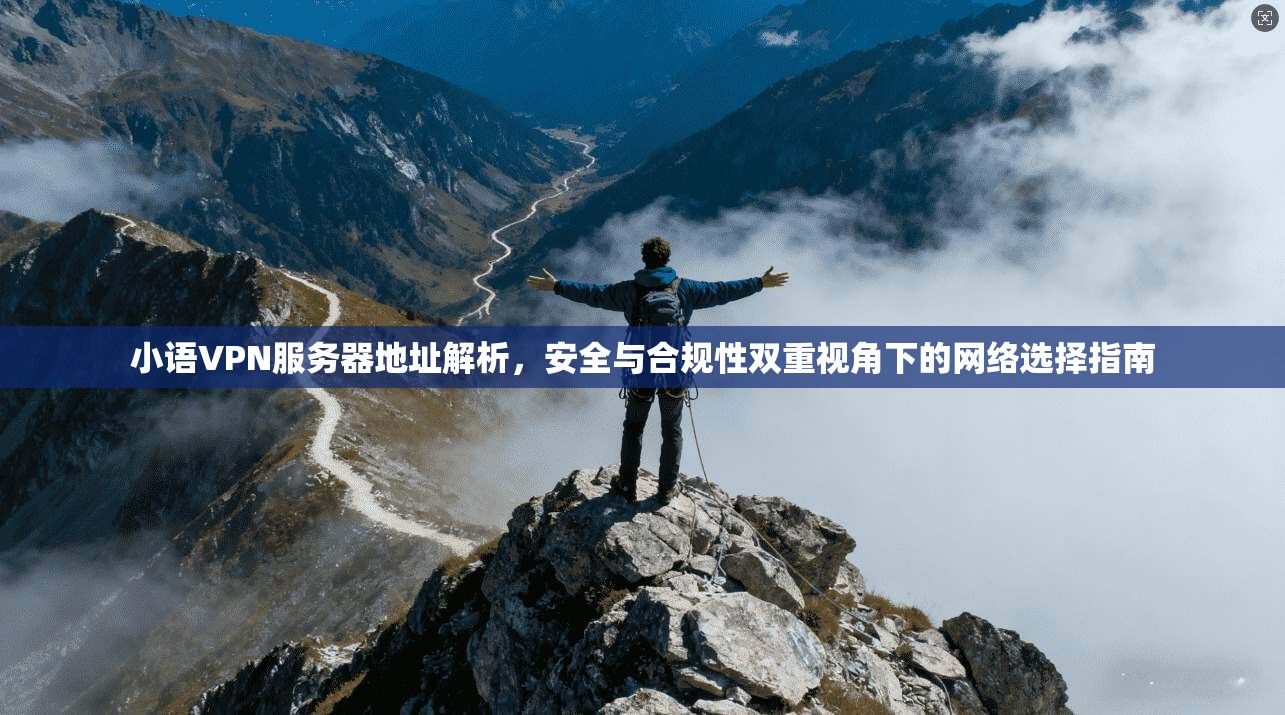 小语VPN服务器地址解析，安全与合规性双重视角下的网络选择指南