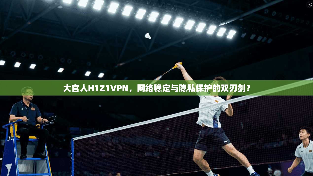 大官人H1Z1VPN，网络稳定与隐私保护的双刃剑？