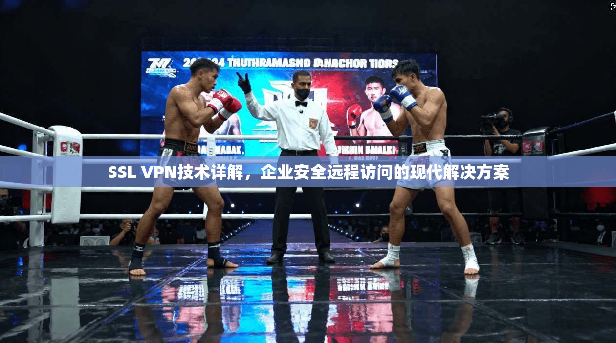 SSL VPN技术详解，企业安全远程访问的现代解决方案