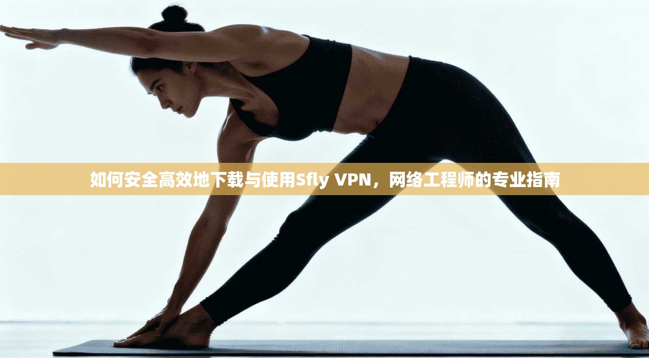 如何安全高效地下载与使用Sfly VPN，网络工程师的专业指南
