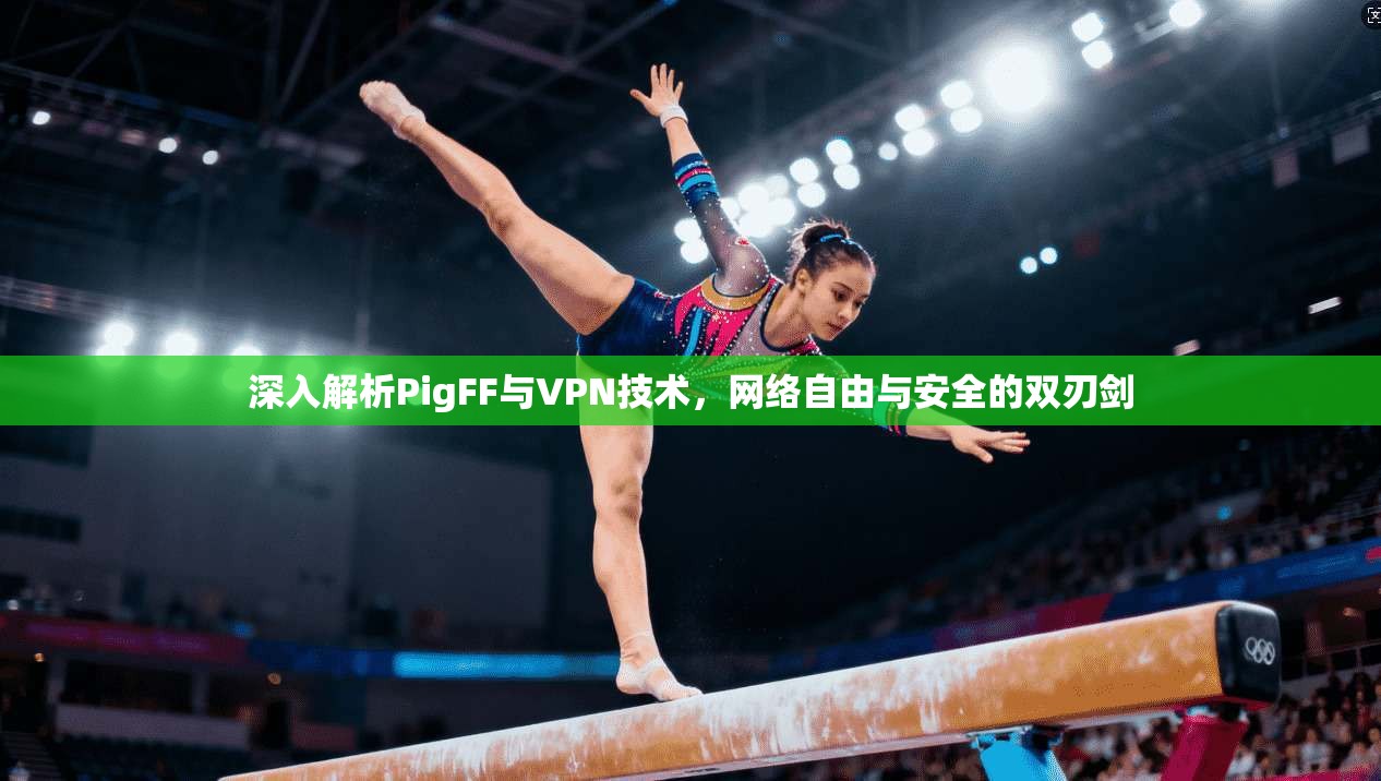 深入解析PigFF与VPN技术，网络自由与安全的双刃剑