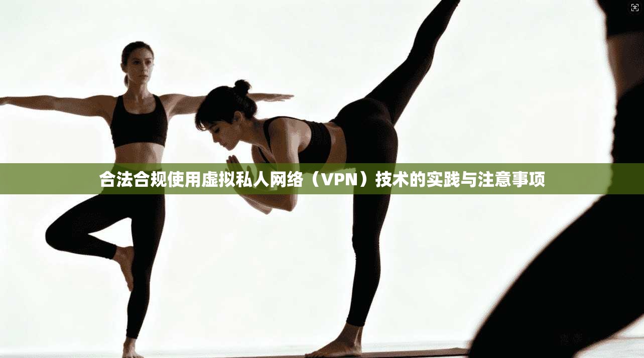 合法合规使用虚拟私人网络（VPN）技术的实践与注意事项