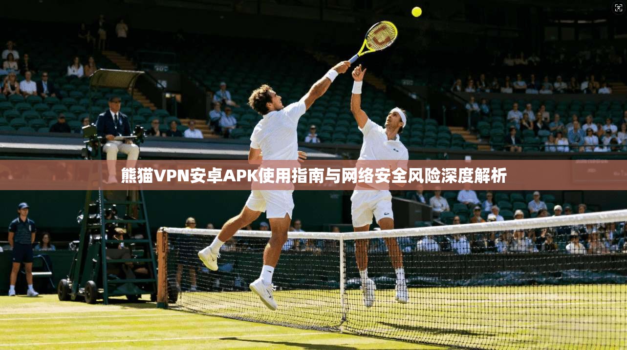 熊猫VPN安卓APK使用指南与网络安全风险深度解析 熊猫VPN安卓APK使用指南与网络安全风险深度解析