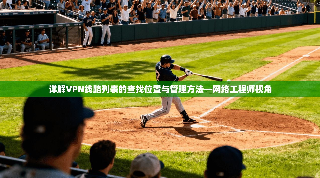 详解VPN线路列表的查找位置与管理方法—网络工程师视角