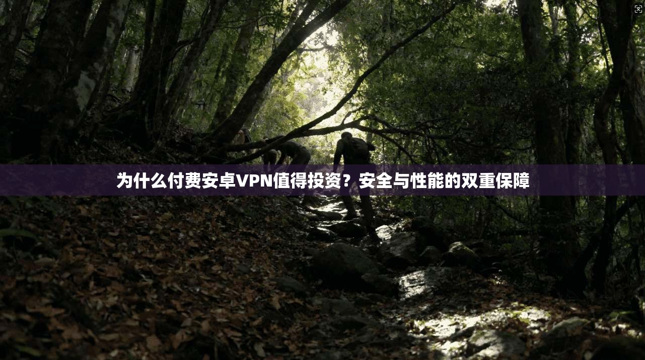 为什么付费安卓VPN值得投资？安全与性能的双重保障