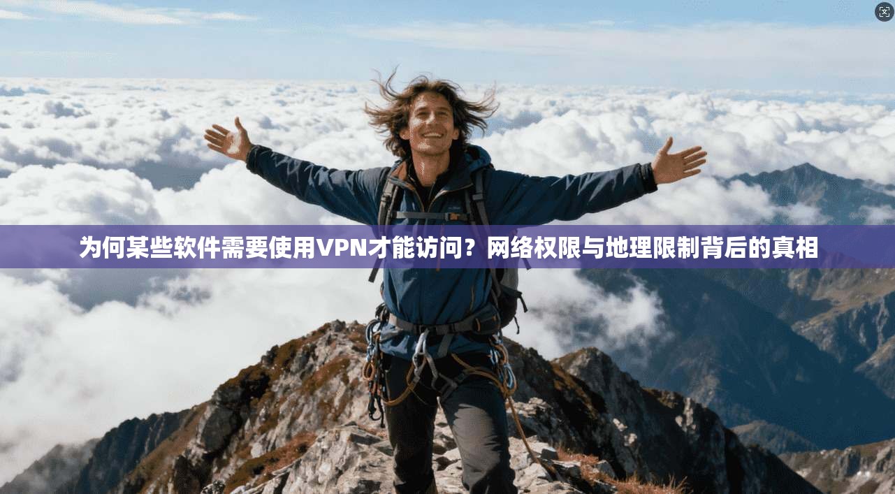 为何某些软件需要使用VPN才能访问？网络权限与地理限制背后的真相