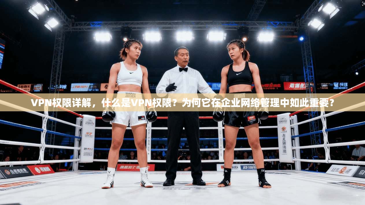 VPN权限详解，什么是VPN权限？为何它在企业网络管理中如此重要？
