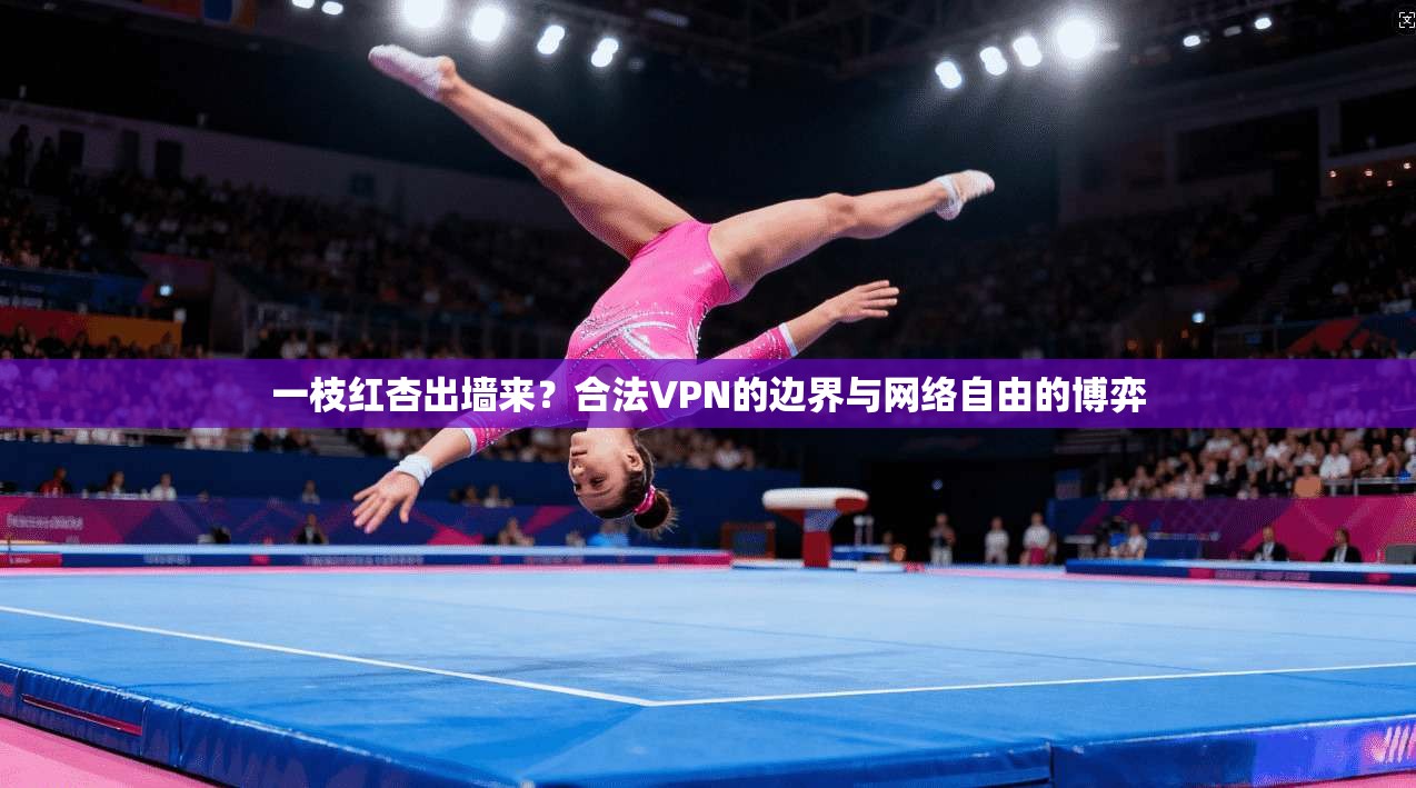 一枝红杏出墙来？合法VPN的边界与网络自由的博弈