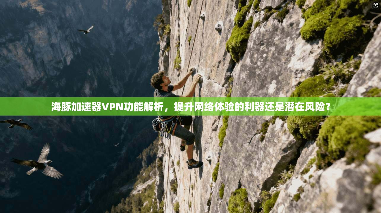 海豚加速器VPN功能解析，提升网络体验的利器还是潜在风险？