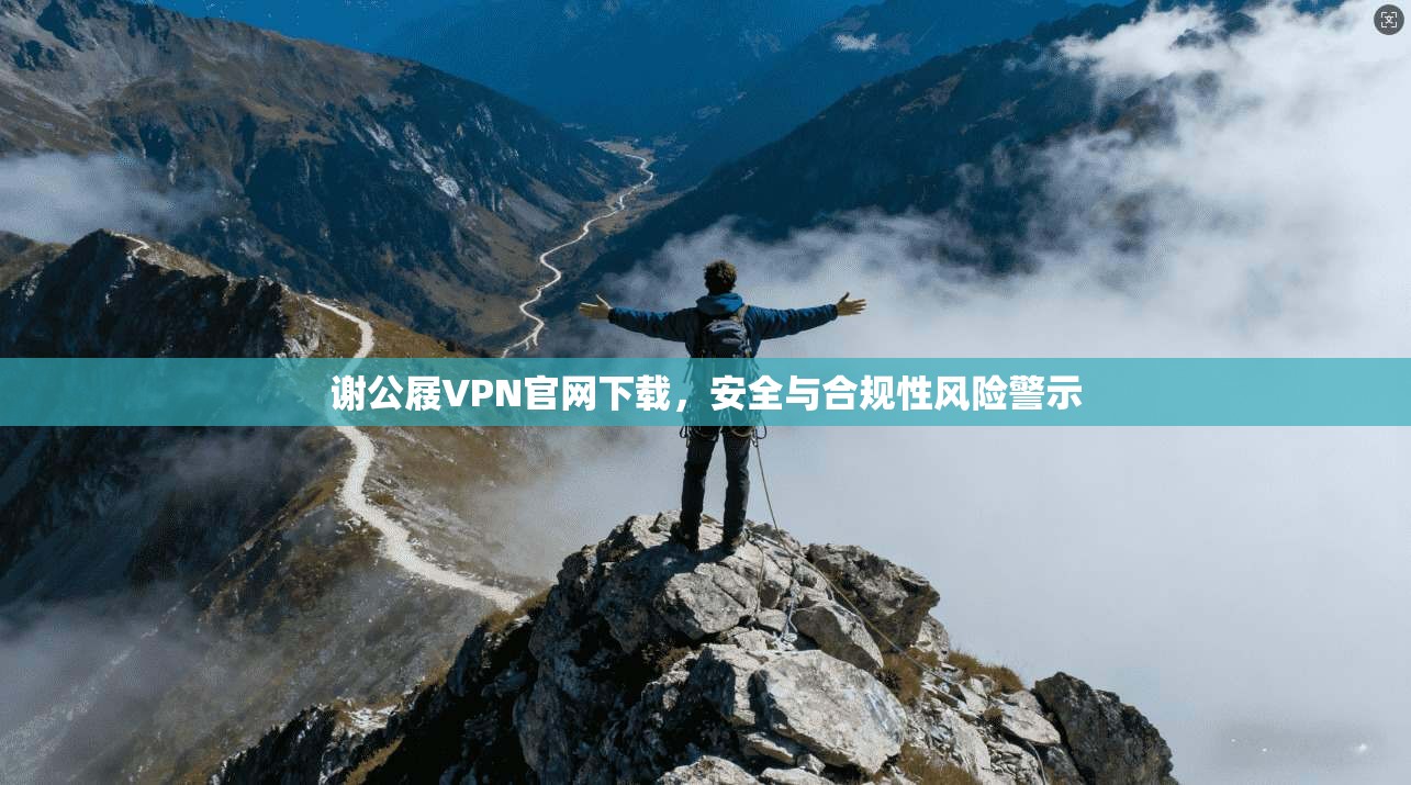 谢公屐VPN官网下载，安全与合规性风险警示