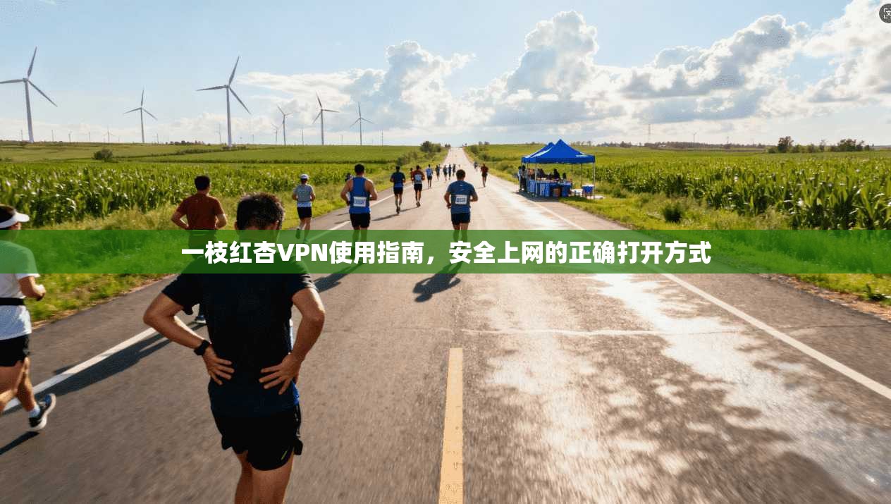 一枝红杏VPN使用指南，安全上网的正确打开方式