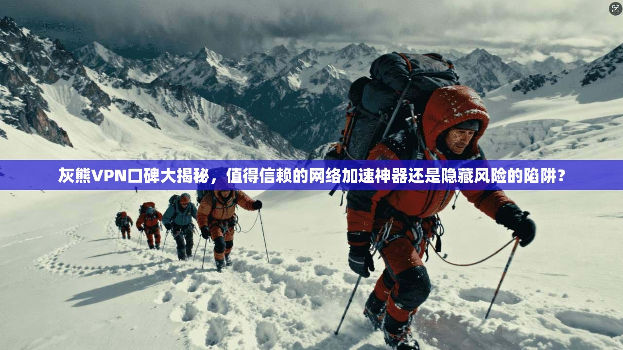 灰熊VPN口碑大揭秘，值得信赖的网络加速神器还是隐藏风险的陷阱？