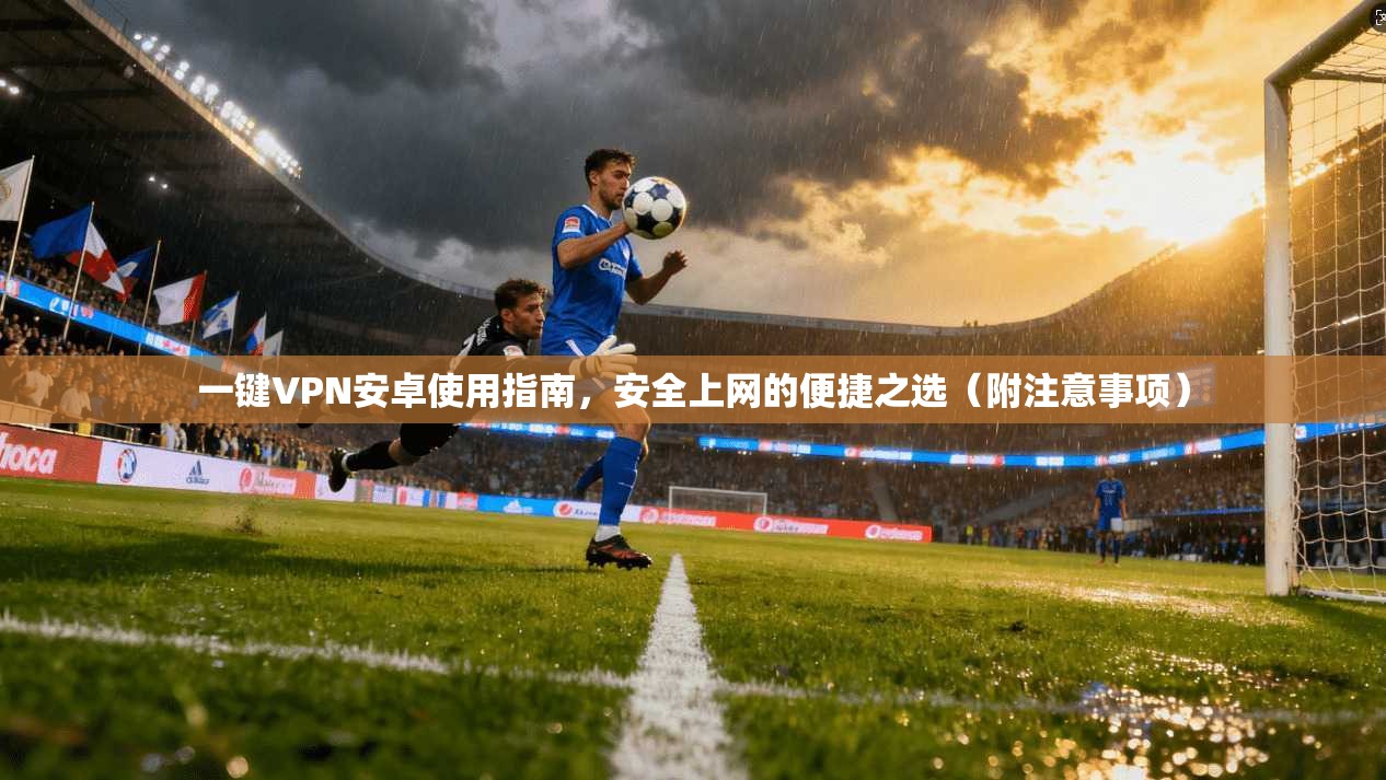 一键VPN安卓使用指南，安全上网的便捷之选（附注意事项）