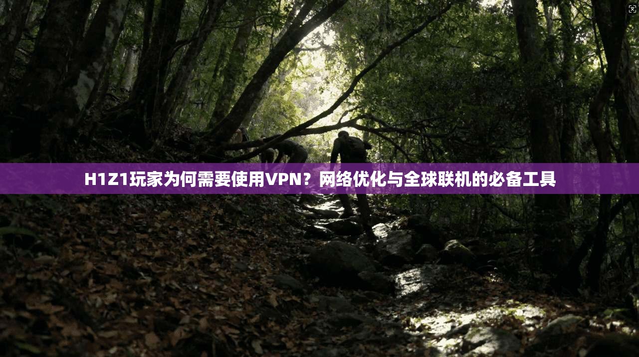 H1Z1玩家为何需要使用VPN？网络优化与全球联机的必备工具