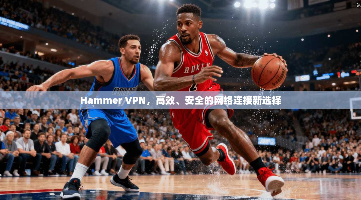 Hammer VPN，高效、安全的网络连接新选择