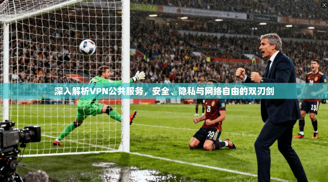 深入解析VPN公共服务，安全、隐私与网络自由的双刃剑
