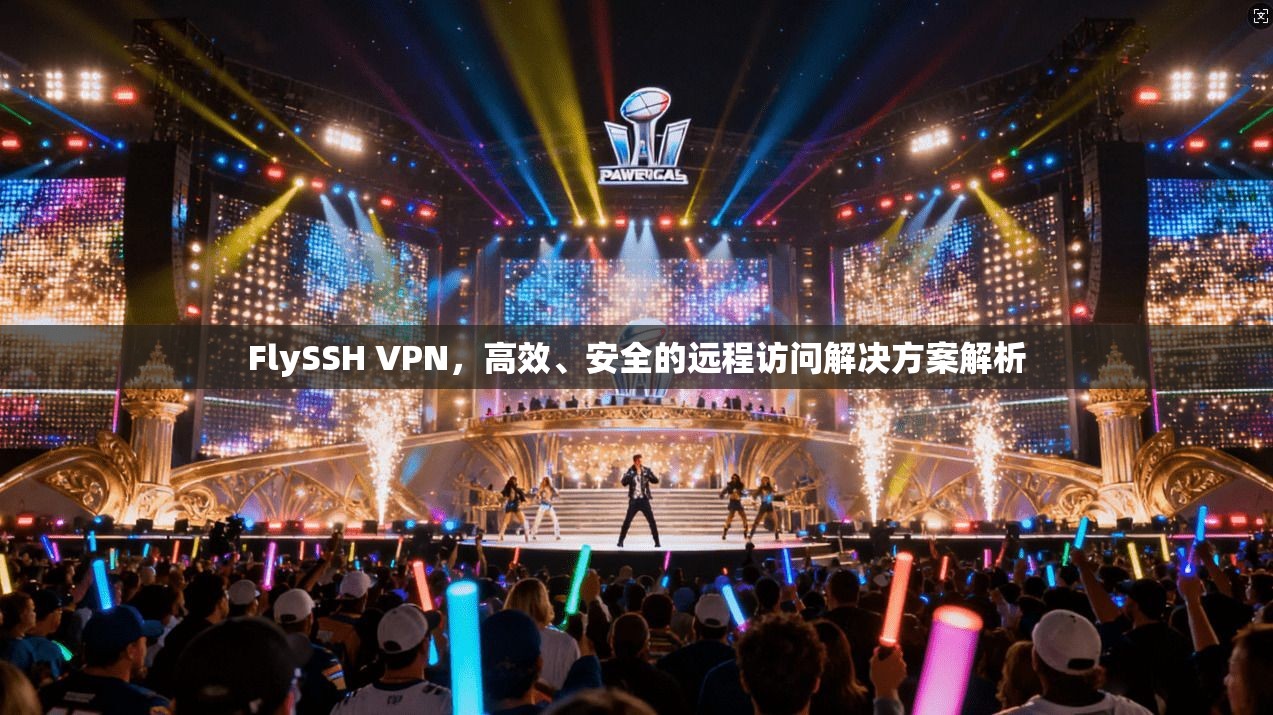 FlySSH VPN，高效、安全的远程访问解决方案解析