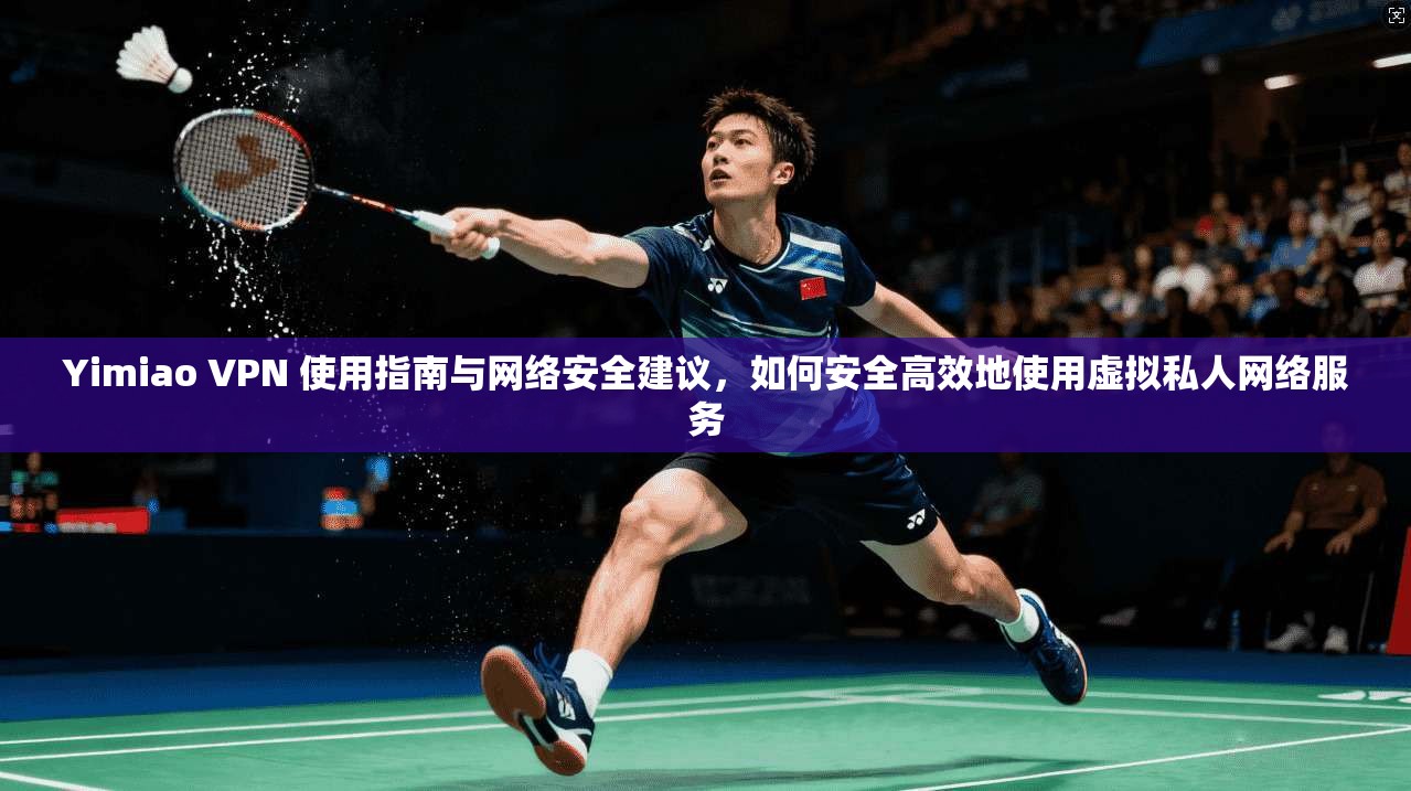 Yimiao VPN 使用指南与网络安全建议，如何安全高效地使用虚拟私人网络服务
