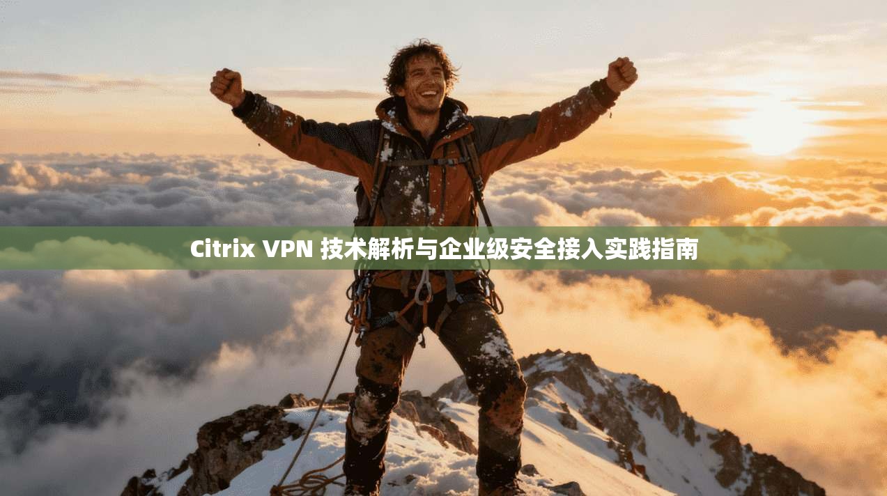 Citrix VPN 技术解析与企业级安全接入实践指南