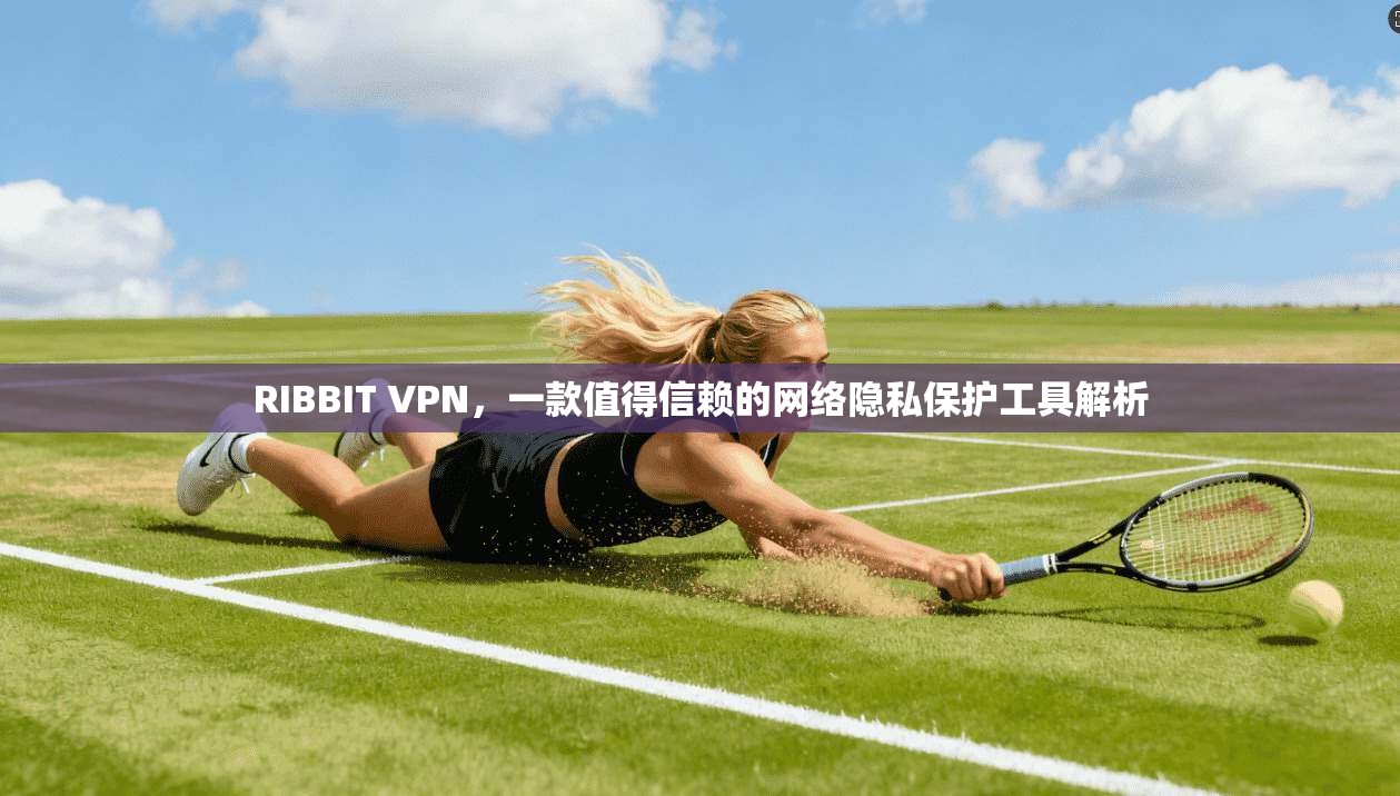 RIBBIT VPN，一款值得信赖的网络隐私保护工具解析