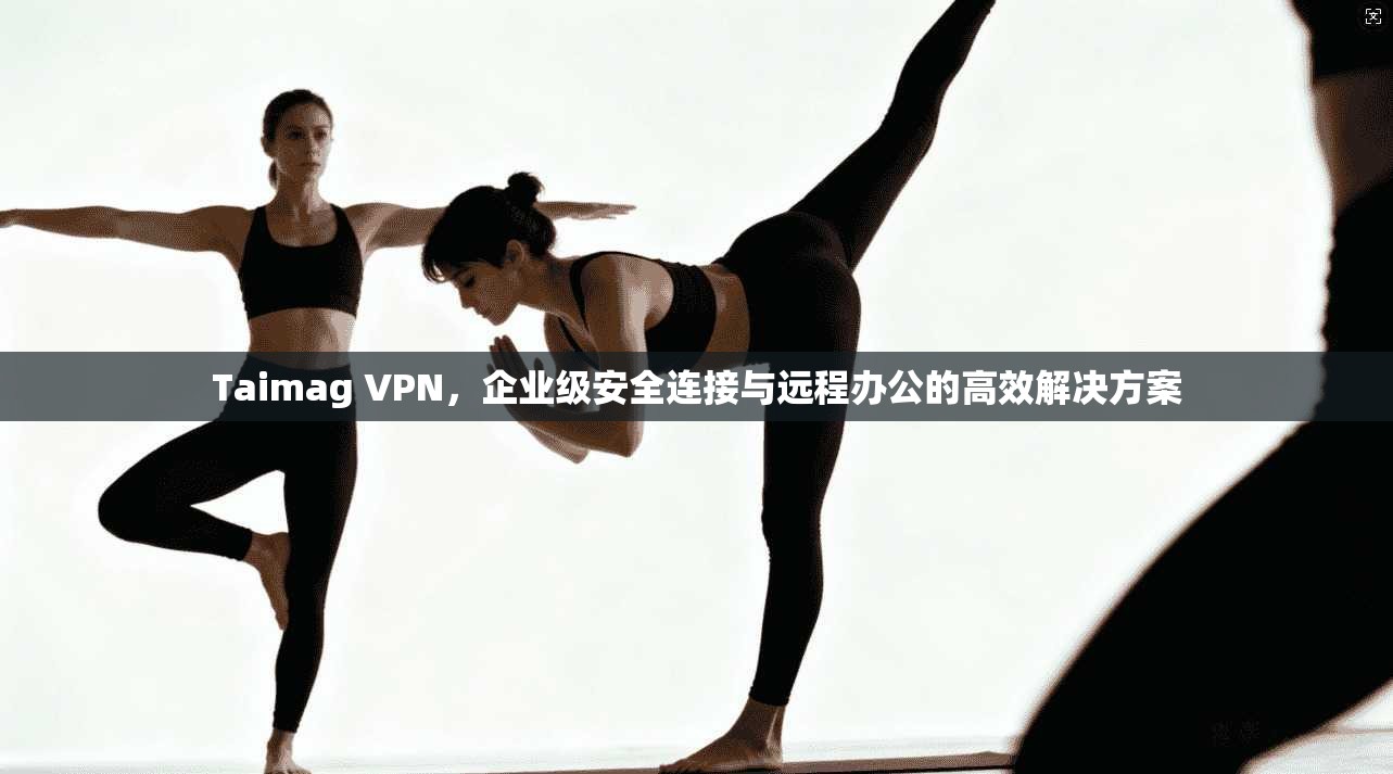 Taimag VPN，企业级安全连接与远程办公的高效解决方案