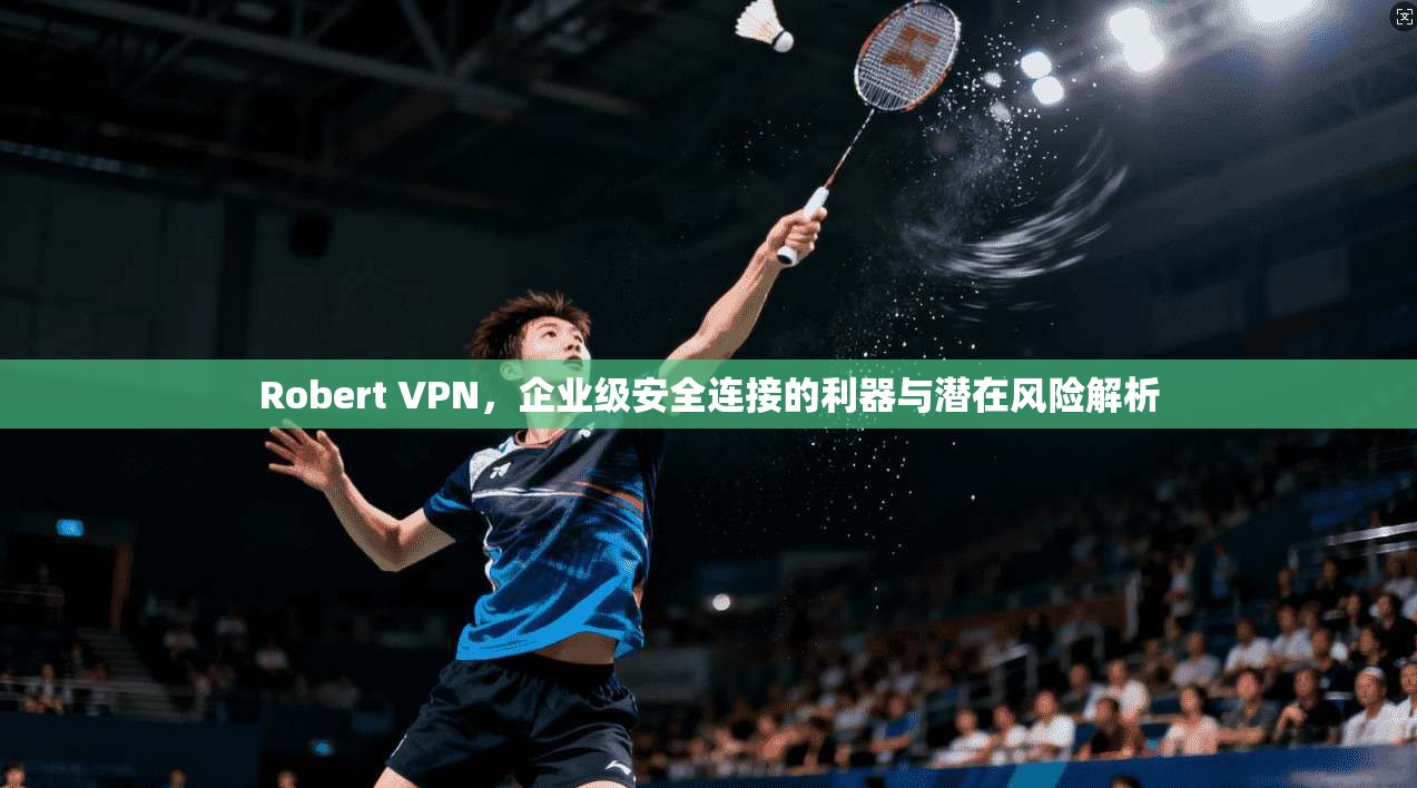 Robert VPN，企业级安全连接的利器与潜在风险解析