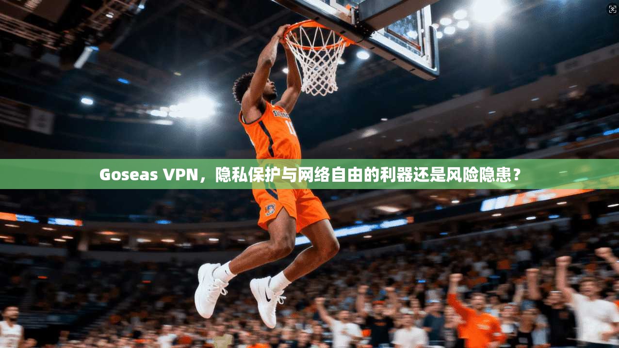 Goseas VPN，隐私保护与网络自由的利器还是风险隐患？