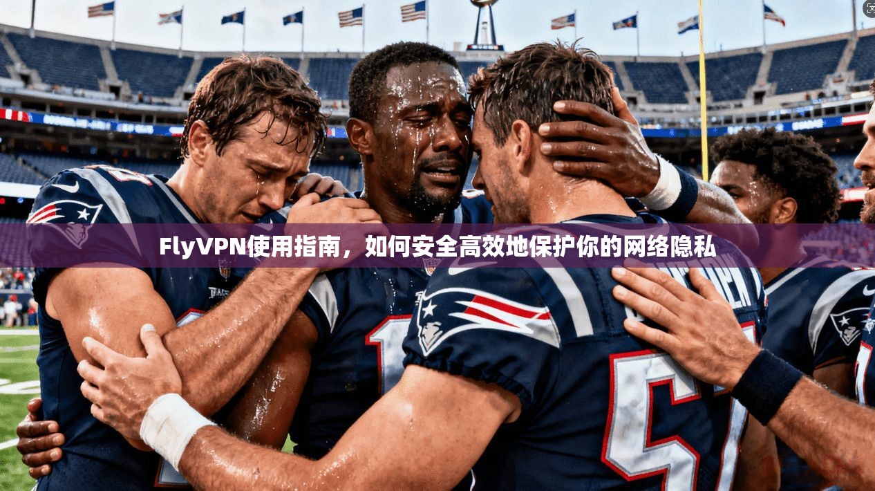 FlyVPN使用指南,如何安全高效地保护你的网络隐私 FlyVPN使用指南,如何安全高效地保护你的网络隐私